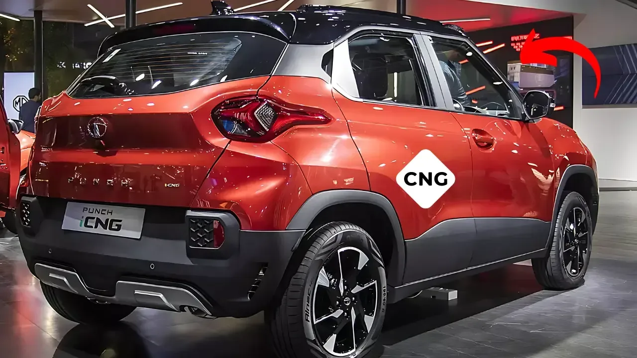 check-cng-cars-big-sale-2024