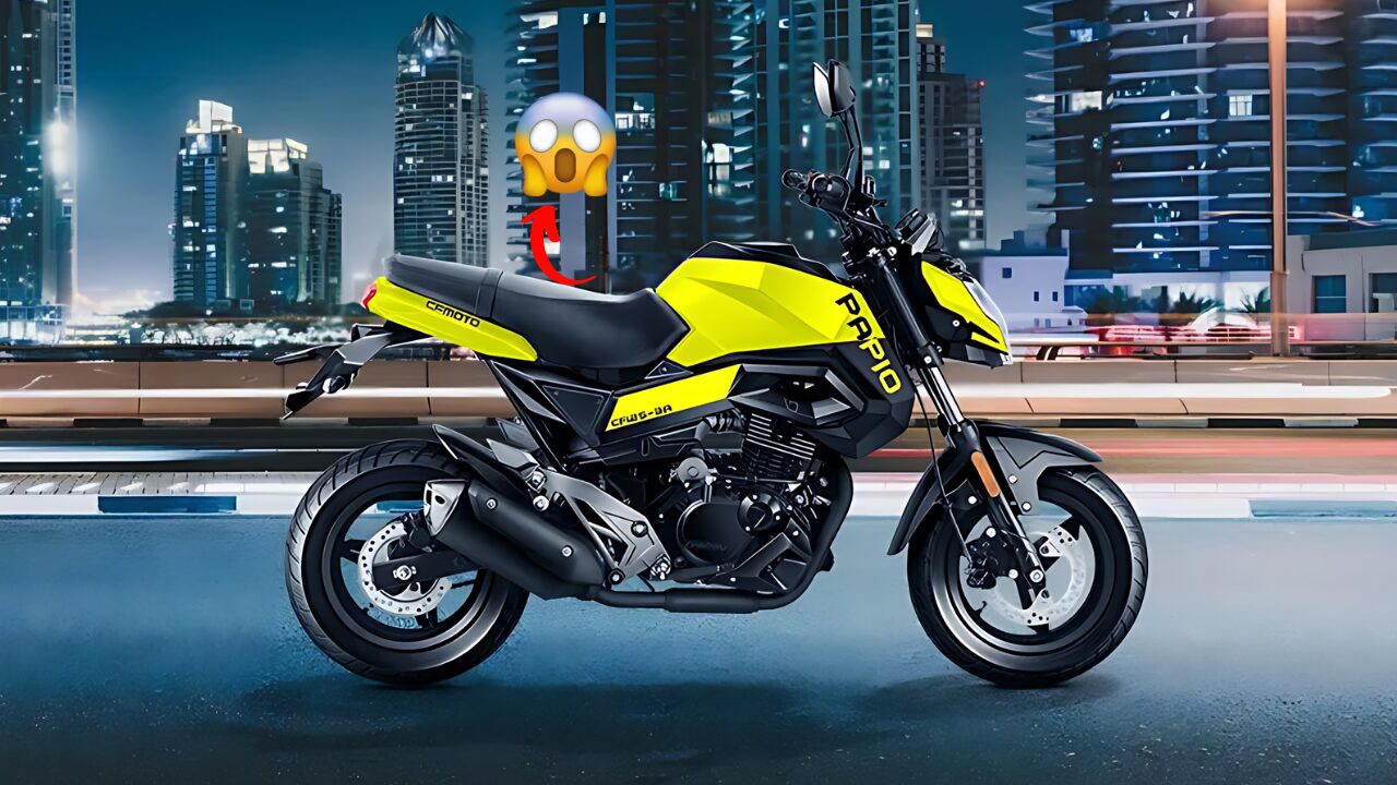 cfmoto-papio-ss-bike-2024